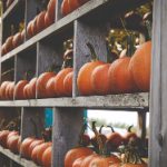 如何选择适合自己的九州体育备用网站及注意事项 gr3fnv