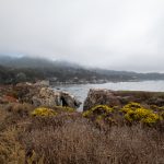 皇冠官方app下载指南:一步步教你轻松安装应用程序 hq0y272